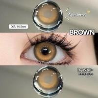 ราคา จัดส่งฟรี FUNSACHY คอนแทคเลนส์ Black Brown Gray Blue ขนาด14 0 14 2 14 5mm คอนแทคเลนส์ตาโต (20149624369)