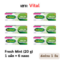ราคา POLIDENT DENTURE ADHESIVE CREAM FRESH MINT 20G โพลิเดนท์ ครีมติดฟันปลอม สูตรเฟรช มิ้นท์ 20 กรัม แพ็ค 6 P 3001 (20976816407)