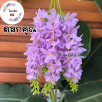 ราคา ดอกคูณ ดอกไม้ปลอม 10ช่อ ดอกคูณขาว เหลืองดอกคูณ ช่อดอกไม้ปลอม ดอกไม้ประดิษฐ์ ดอกราชพฤกษ์ ช่อราชพฤกษ์ ร้านดอกไม้ราชพฤกษ์ (20906352077)