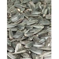 ราคา สองเจ สองJ 2J 2เจ ทานตะวันดำ แบ่งขาย เมล็ดทานตะวันดำ ร่อนฝุ่น น น 250 กรัม เพียง 20 บาท นกแก้ว อาหารนก หงส์หยก ฟอพัส เลิฟเบิร์ด ค็อกคาเทล กรีนชิค ซันคอนัวร์ แอฟริกันเกรย์ โนรี กระตั้ว อเมซอน มาคอร์ ไฮ