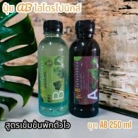 ราคา ธาตุอาหารพืช ปุ๋ยไฮโดรโปนิกส์ ได้ทั้ง A และ B ปุ๋ย AB ปุ๋ยน้ำ สูตรเพิ่มธาตุเหล็ก สำหรับปลูกผักไร้ดิน ผักสลัด ผักไทย ผักจีน New แถมฟรีเมล็ด (18164884567)