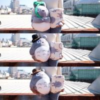 ราคา หมอนสอดมือ หมอนผ้าห่ม Totoro โตโตโร่ ตัวนุ่ม 13นิ้ว 100x150cm My Neighbor Totoro โตโตโร่เพื่อนรัก โทโทโร่ (20537299090)