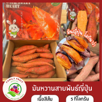 ราคา มันญี่ปุ่น โอกินาว่า OKINAWA sweet potato เนื้อสีส้ม สายพันธุ์ญี่ปุ่น จัดส่งฟรี (20942508983)