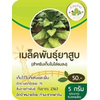 ราคา ทำมะชาดฟาร์ม มีคู่มือ 10แถม1 500 2000เมล็ด เมล็ดพันธุ์ ผักสลัด กรีนโอ๊ค คอส ฟิลเลย์ สลัดแก้ว บัตเตอร์เฮด ผักกาดหอมอิตาลี่ ไฮโดรโปรนิกส์ (8308301798)
