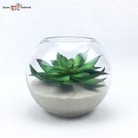ราคา สวนโหลแก้ว แคคตัสปลอม ต้นไม้ปลอมมินิมอล แคคตัสปลอมพร้อมโหลแก้ว (4453742185)