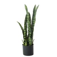 ราคา Artificial Snake Plant Fake Sansevieria Perfect Faux Plants for Home Garden Office Store Decoration (19610744470)