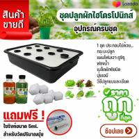 ราคา ผักสลัด ชุดปลูกผักไฮโดรโปนิกส์ อุปกรณ์ครบชุด ปลูกผักไว้ทานเอง จะปลูกที่ระเบียงหรือปลูกในพื้นที่จำกัดก็ได้ ปลูกซ้ำได้หลายครั้ง (12372080023)