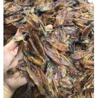 ราคา หมึกตัวกลม หมึกกล้วยเนื้อหนา ตัวเล็ก เค็มธรรมชาติ น้ำหนัก250กรัม และ 500กรัม กัลยาปลาหมึกแห้ง (18288542262)