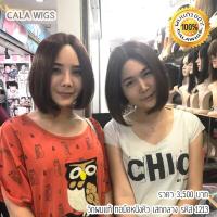 ราคา วิกผมแท้ วิกผมแท้ทอมือเสกกลาง ฟ้าใสวิกผม CALAWIGS 2020 วิกผมแท้ ทอมือหนังเสก 35cm MONO รหัส 1213 (3991434093)