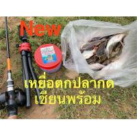 ราคา เหยื่อตกปลากด เหยื่อตกปลากดเขียนพร้อม เหยื่อคกปลา เหยื่อหมัก เหยื่อหมักตกปลากด (20977102326)