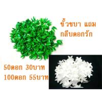 ราคา ขั้วชบาพลาสติก แถม กลีบดอกรัก (21190951549)