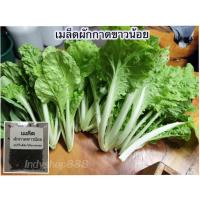 ราคา เมล็ดพันธุ์ ผักกาดขาวน้อย ผักกาดขาวเบา 300 6000 เมล็ด ปลูกง่าย ผลผลิตดี 10 แถม 1 คละได้ (18506296887)