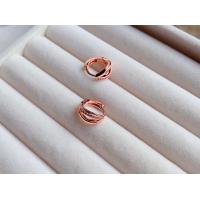 ราคา goodgift station Hoop s925 silver earrings ต่างหูห่วงกลมแบบล็อค ด้านหน้าประดับเพชร ใส่ติดหูไว้ได้เลย (17312970182)
