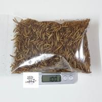 ราคา หนอนนก หนอนนกอบแห้ง 100 50g หนอนอบแห้ง อาหารหนูแฮมสเตอร์ อาหารนก อาหารเม่น อาหารชูการ์ อาหารแพรี่ด็อก อาหารไก่ (19961476554)