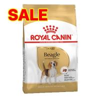 ราคา EXP1 3 2024 ROYAL CANIN BEAGLE ADULT 3KG สุนัขโตพันธุ์บีเกิ้ล บำรุงเฉพาะสายพันธุ์ (21166180299)