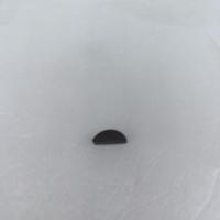 ราคา ลิ่ม น็อต จานไฟ 381 กี่จานไฟ น็อตจานไฟ381เกรดA เลื่อยสติล ms381 STIHL381 (17964023181)