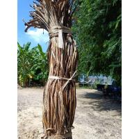 ราคา เชือกกล้วย ต้นกล้วยอินทรีย์ สีธรรมชาติ Banana rope น้ำหนัก 1กก ประมาณ 250 300 เส้น สีของเชือก สีครีมอ่อนๆ และ สีน้ำตาล ตามสีของต้นกล้วย (10263651346)