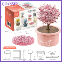 ราคา QUANSEN Crystal Growing Kit การศึกษาของเล่นคริสตัลวิทยาศาสตร์ทดลองของเล่นวิทยาศาสตร์ชุด (20339494490)