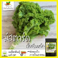 ราคา เมล็ดพันธุ์ มัสตาร์ด เขียวใบหยิก 400 เมล็ด Southern Giant Curled Mustard seed เมล็ดพันธุ์แท้ นำเข้าจากต่างประเทศ ปลูกผัก (8551144465)