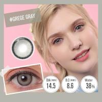ราคา มาใหม่ 1 00 6 00 Magister คอนแทคเลนส์สี Sweet Brown Grege Gray บิ๊กอาย 14 5mm 1 คู่ (19226576648)