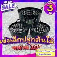 ราคา เข่งปลูกต้นไม้ 10 นิ้ว แพ็ค 3 ใบ เข่งเล็กปลูกต้นไม้ รากเดินดี กระถางต้นไม้ ใช้ปลูกพืชผัก ไม้ดอกไม้ประดับ ระบายน้ำ และอากาศได้ดี homes (10353147498)