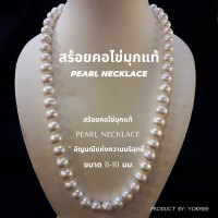 ราคา Yok5see สร้อยคอไข่มุก แท้ ขนาด 8 10 มม สร้อยไข่มุก สร้อยคอ ไข่มุก สร้อยมุก มุกแท้ สร้อยมุก สร้อยไข่มุก ไข่มุกแท้ มุกแท้ มุก Pearl (16850398256)