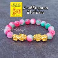 ราคา Collect Shop กำไลหิน ฮกลกซิ่ว ปี่เซียะคู่ ทองไมครอน 5ธาตุเปลี่ยนสี 10 มิล ความเจริญ เงินทอง (11198732443)