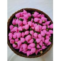 ราคา ดอกข่าแหลม ข่าตูม ข่าอูม เสมือนของสดจริง (8035669432)