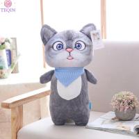 ราคา TEQIN ตุ๊กตาของเล่นลูกแมวแมวนั่งยืนของขวัญตัวการ์ตูนน่ารักต่อต้านริ้วรอย20ซม ตุ๊กตาผ้า (20422360444)