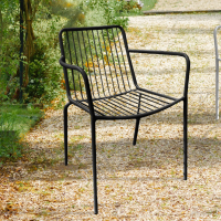 ราคา FANCYHOUSE เก้าอี้กลางแจ้ง เก้าอี้นั่งเล่น ตกแต่งสวน ในสนาม สีดำ Outdoor Style รุ่น UDH001 (21280084468)