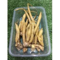 ราคา กระชายสด กระชายรสเผ็ด ร้อนแรง (8871690023)