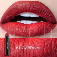 ราคา FOCALLURE ลิปสติกดินสอดินสอสีปิดร่องแสกผมกันน้ำทนทานลิปสติกเนื้อแมท14สี (17770269980)
