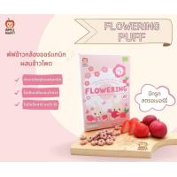 ราคา APPLE MONKEY แครกเกอร์ข้าวหอมมะลิออร์แกนิก ขนมเด็ก ขนมสำหรับเด็กอายุ 8 เดือนขึ้นไป Organic Rice Cracker (20736879577)