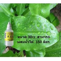 ราคา สารจับใบเข้มข้น แบ่งขาย สำหรับหัวเชื้อชีวภาพ จุลินทรีย์ และ ปุ๋ยอินทรีย์น้ำ (16208271317)