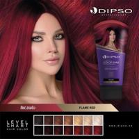 ราคา Dipso Super Shine Hair Color Wax ดิ๊ฟโซ่ แว็กซ์สี 150กรัม (16587530976)