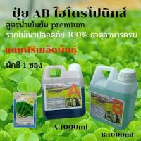 ราคา ธาตุอาหารพืช ปุ๋ยไฮโดรโปนิกส์ ปุ๋ยAB ปุ๋ยน้ำ ปุ๋ยผักสลัด สำหรับปลูกผัก Hydroponics ขนาด1000MLและ250ML แถมฟรีเมล็ดพันธุ์ ผักชี1ซอง (9562755374)
