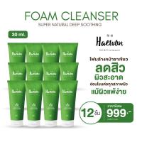 ราคา HAEWON แฮวอน โฟมล้างหน้าแฮวอน โฟมชาเขียว สูตรอ่อนโยน สิวลดลง ควบคุมความมัน 30 ml (20113359141)