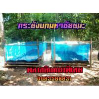 ราคา กระชังบก2x3 หนาพิเศษ กว้าง 2 ยาว3 เมตร กระชัง บก ผ้า ใบ เลี้ยงกบ เลี้ยงกบ ใน บ่อ พลาสติก การ เลี้ยง กบ ปลา (9863650850)