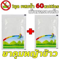 ราคา กำจัดเฉพาะวัชพืช ไม่ทำลายข้าว สารกำจัดวัชพืช ยาคุมหญ้าข้าว ยาคุมหญ้า สารกำจัดวัชพืชในนาข้าว ฆ่าหญ้า ยาฆ่าหญ้า ยาฆ่าหญ้าในนาข้ (20612775344)