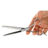 ราคา กรรไกรตัดขนน้องหมา กรรไกรซอยขนน้องหมา (18137328166)