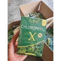 ราคา คลอโรฟิลล์ X Chlorophyll X มายพลัส คลอโรฟิลล์มายมิ้น คลอโรฟิลล์มิ้น (20401014679)