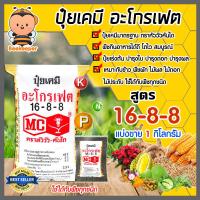 ราคา ปุ๋ยเคมี สูตร 16 8 8 ตราหัววัว คันไถ บรรจุ 1 กิโลกรัม เป็นปุ๋ยใช้ใส่รองพื้น ก่อนเพาะปลูก หรือใส่ในระยะแรกของการเพาะปลูกพืช (10728797859)