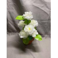 ราคา ดอกมะลิปลอม ดอกมะลิกระถางจิ๋ว ดอกไม้ประดิษฐ์ (19126785132)