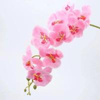 ราคา ช่อดอกไม้กิ่งยาวสำหรับการตกแต่งบ้านดอกกล้วยไม้ปลอมดอกไม้ปลอมของตกแต่งงานแต่งงานพวงหรีดบอนไซแบบทำมือ (21052748110)