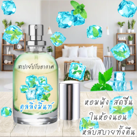 ราคา Spray Air Freshener 120ml กลิ่น COOLING MINT (4310116193)