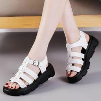 ราคา Skechers สเก็ตเชอร์ส รองเท้าแตะผู้หญิง Women Foamies Footsteps Back To Basics Walking Sandals 111529 BBK Dual Density Machine Washable Luxe Foam (20244015081)