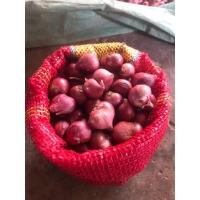 ราคา หอมแดงศรีสะเกษ (17789597815)