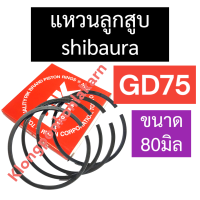 ราคา แหวนลูกสูบ SHIBAURA รุ่น GD75 80มิล แหวนลูกสูบgd75 แหวนลูกสูบ80มิล แหวนgd75 แหวน80มิล แหวนลูกสูบshibaura อะไหล่shibaura (17037579298)
