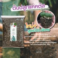 ราคา ดินปลูกแคคตัสพรีเมี่ยม ดินปลูกต้นไม้ พร้อมปลูก ส่วนผสม10ชนิด จัดเต็ม ดินแคคตัสพรีเมี่ยม ดินกระบองเพชร ดินปลูกแคคตัส (10334979407)