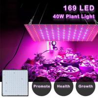 ราคา ไฟปลูกต้นไม้ LED Grow Light หลอดไฟปลูกต้นไม้ 150W ไฟเพาะต้นไม้ Plant Lamp Phyto Lamp Red Blue Full Spectrum Sunlike Sun Lights Indoor Lamp EU Plug 80 169 LED for Indoor Plants Vegetab (16610890672)
